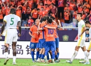 QYG- 板球巡回赛上演强强对话，南城犀牛队大胜祁连飞鹰队，战术调整见效；更衣室氛围正向