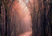 QYG-塞维利亚训练开放日；赛前官宣签约引欢呼；英超在即；数据趋势出现新变化(塞维利亚足球俱乐部官网)